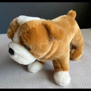 Hutch, the English Bulldog